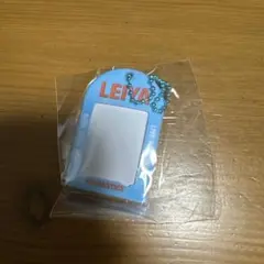 2025FANTASTICSガチャガチャ LEIYAミニカードケース