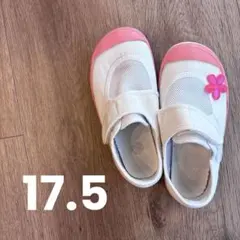 【教育パワーシューズ】上履き・スクールシューズ 17.5