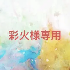 彩火様確認専用ページ【取り置き中】