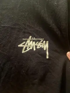 STUSSY Tシャツ