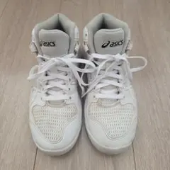 asics スニーカー 21cm 室内使用のみ