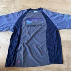 Patagonia パタゴニア NORTH FACEコラボTシャツ