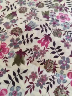 Item thumbnail for item d0e650ab-3e10-4c55-b082-8599a6e61e73