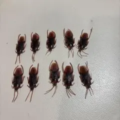 Item thumbnail for item cec1d278-7a4f-4556-b474-83d49d03bb23