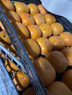 ふぅ様専用です。果物野菜詰め合わせです