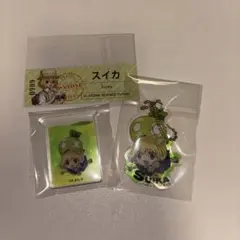 Dr.STONE スイカ アクリルキーホルダー