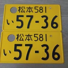 観賞用 ナンバープレート 岐阜ナンバー 1枚 - メルカリ