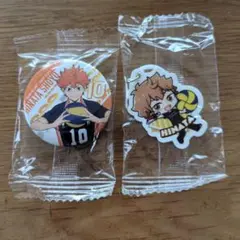 くら寿司 ビッくらポン 日向翔陽