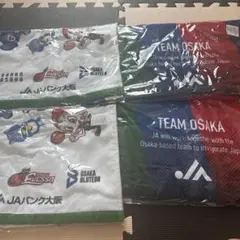 ガンバ大阪 大阪エヴェッサ ブルテオン タオルマフラーのサムネイル