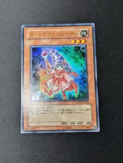 m37489882945_1.jpg?1770937140