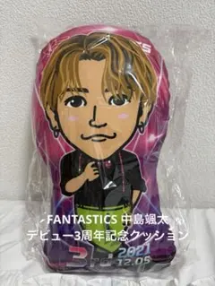 FANTASTICS 中島颯太 ガチャ レア クッション BOT ダイカットクッション 八木勇征 中島颯太 - メルカリ