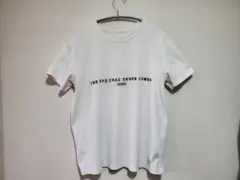 【刺繍ロゴ】THE CRIMIE（クライミー）刺繍Tシャツ 白のサムネイル