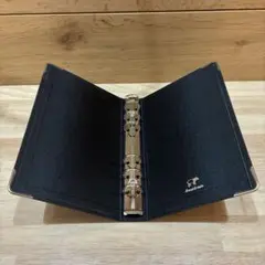 Item thumbnail for item 1e49a7c6-d9bf-4512-8a9b-b765efc11d20