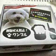 Item thumbnail for item d49f5689-eb7b-4530-a515-0856e44164ec