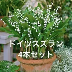 hee様 リクエスト 3点 まとめ商品