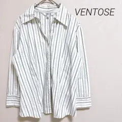 VENTOSE ストライプシャツ　ボタンダウン　Vネック　上品　くびれ　9R