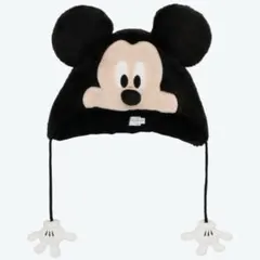 ディズニー ミッキー ファンキャップ
