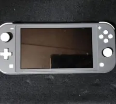 Nintendo Switch Lite グレー 本体　(箱無し)