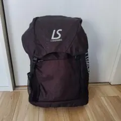 Item thumbnail for item 8d45a0fe-745e-4bd3-88a8-b2f93c4ee6cb