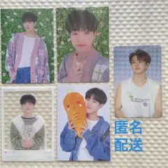 seventeen ホシ HARU トレカ