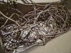 11月29日剪定　キウイ蔓　細目と太め混合リース作り　フラワーアレンジメント