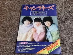 美品/昭和アイドル/キャンディーズ 大写真集/青春よ、さよなら Yahoo!オークション - キャンディーズ大写真集 青春よ さよなら