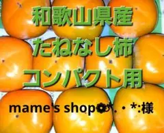 mame's shop❁⃘*.・*:様専用