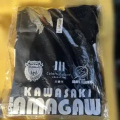 KAWASAKI Tシャツ Mサイズ