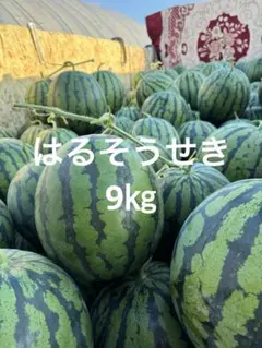 産地直送 熊本植木町スイカ【1玉入り】7kgと8kg - メルカリ