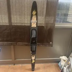 Item thumbnail for item c4b76a52-fcf6-4f04-88ea-50f4b63510ef