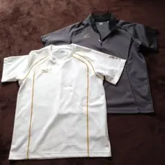 Mizuno 半袖シャツ Lサイズ ホワイト グレー　2枚組