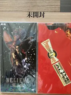 THE ALFEE PERFECT BURN DVD 2枚セット - メルカリ