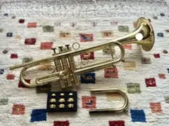 Item thumbnail for item 6608c335-df96-4bca-b954-0be6be7c7e65