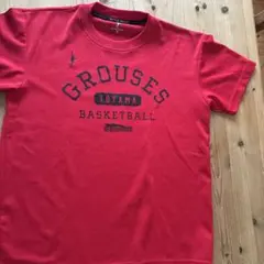 IN THE PAINT 富山グラウジーズ Tシャツ Sのサムネイル
