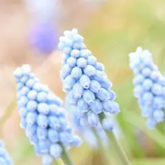 とし様 リクエスト 3点 まとめ商品