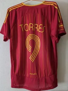 サッカー フェルナンドトーレススペイン代表 2006年ワールドカップ