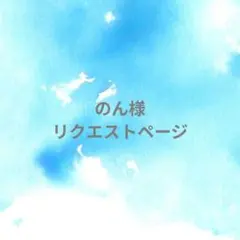のん様 リクエスト 2点 まとめ商品
