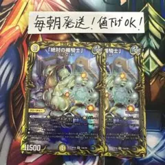 2026年最新】絶対の楯騎士の人気アイテム - メルカリ