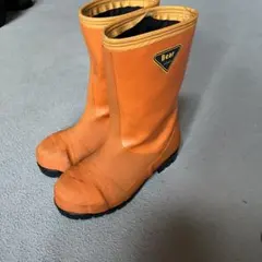 Item thumbnail for item 93916cc0-75a8-438d-a38c-7bade800ad79