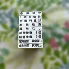 非売品】【レア】耳をすませば 図書館貸出カード ミニ下敷き