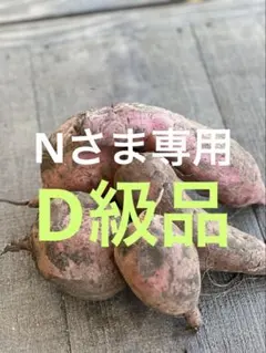 Nさま専用　　D級品　さつまいも