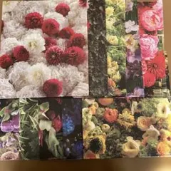 Item thumbnail for item d70584c9-0ca7-400b-9ac2-d02a687f79df