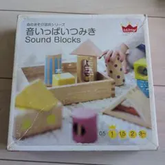 Ed.Inter 音いっぱいつみき 知育玩具のサムネイル
