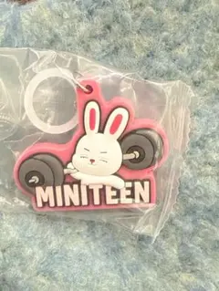 MINITEEN seventeen スンチョル