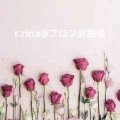 t.rina@プロフ必読様専用
