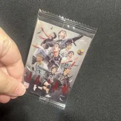 バレーボール ツインウエハース 集合 スペシャル