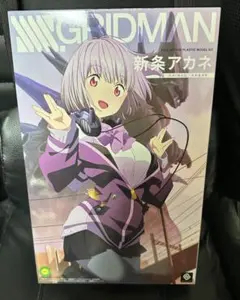新条アカネ　プラモデル
