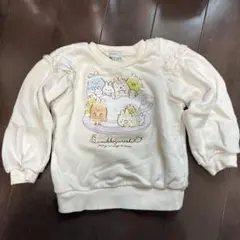 any FAM サンエックス トレーナー 100