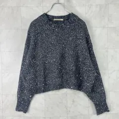 Curensology スパングルニットプルオーバー F シルバー アルパカ混