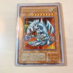 遊戯王 ブルーアイズ・トゥーン・ドラゴン シークレットレア